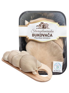 STAROPLANINSKA BUKOVAČA